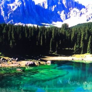 Meet your Posher, Danica